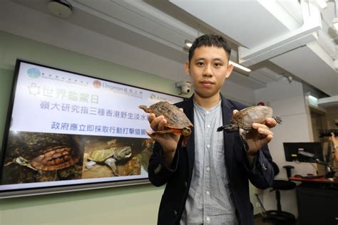 水魚 龜|本地淡水龜